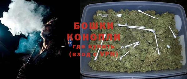 PSILOCYBIN Белокуриха