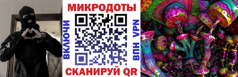 Галлюциногенные грибы Psilocybe  Гороховец 